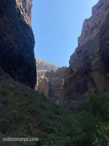 traseu tenerife