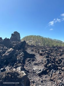 traseu tenerife