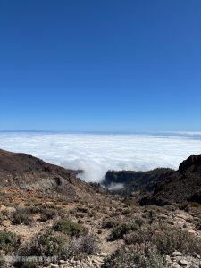 trasee tenerife